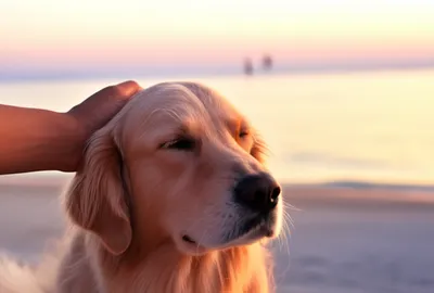 Illustration soothe - Image 1