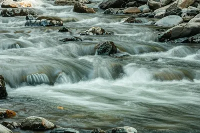 Illustration ran - Image 1