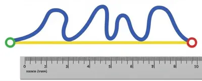 Illustration rectified - Image 1