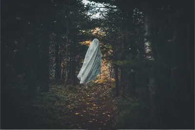 Illustration daunts - Image 2