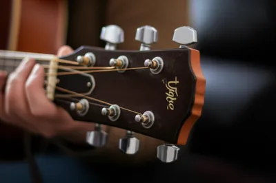 Illustration drop - Image 1