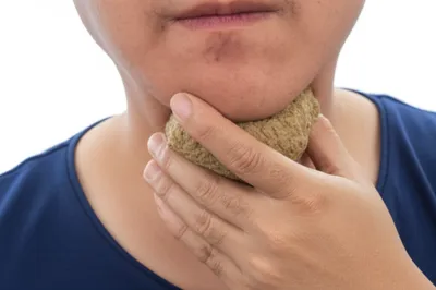 Illustration lobs - Image 1