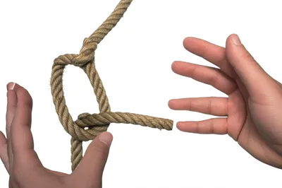 Illustration quit - Image 1