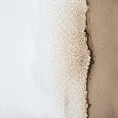 Illustration soil - Image 1