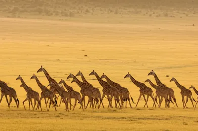 Illustration journeys - Image 1