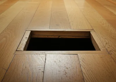 Illustration hatches - Image 1