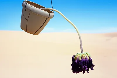 Illustration tiresome - Image 1