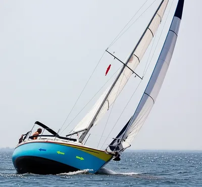 Illustration weathercock - Image 1