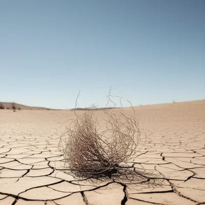 Illustration deadlier - Image 1