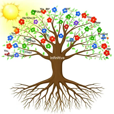 Illustration conjugation - Image 1