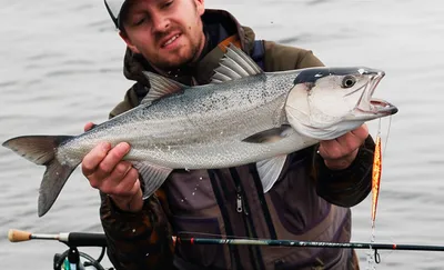 Illustration bag - Image 1