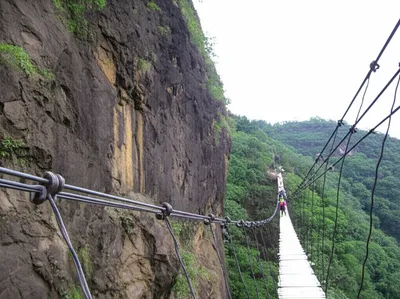 Illustration sureties - Image 2