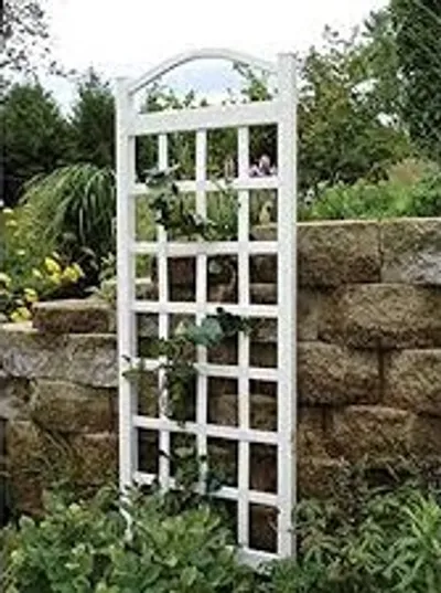 Illustration trellis - Image 2