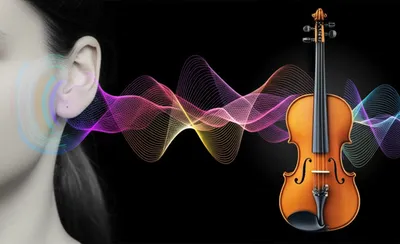 Illustration auricular - Image 1