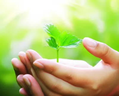 Illustration envelop