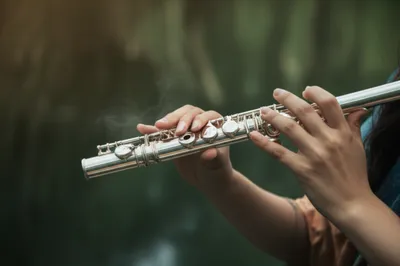 Illustration flutes - Image 1