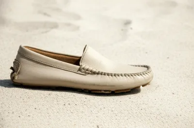 Illustration moccasin - Image 1