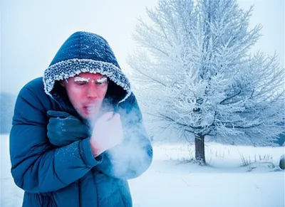 Illustration froze - Image 1