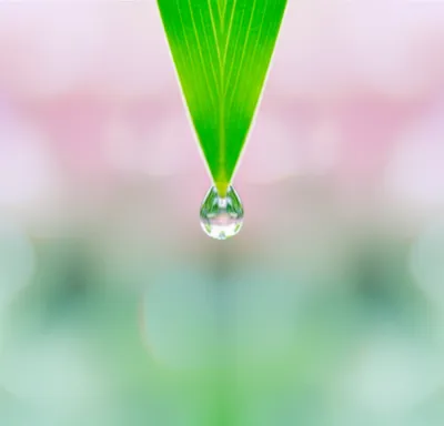 Illustration aesthetically