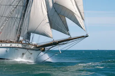 Illustration hi - Image 1