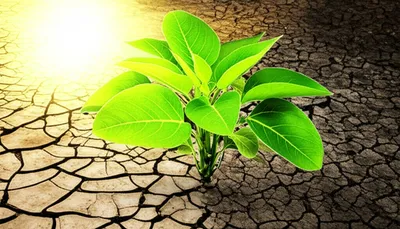 Illustration improves