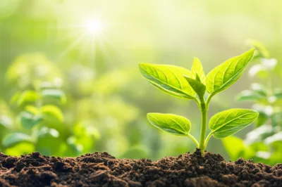 Illustration positively