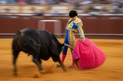 Illustration corridas - Image 1