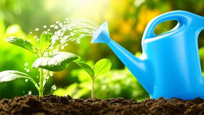 Illustration acquisitions - Image 2