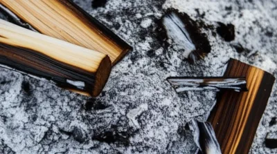 Illustration ash - Image 1