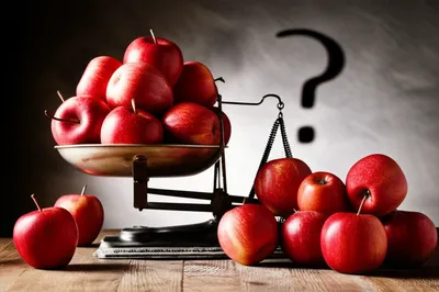 Illustration bunches - Image 1