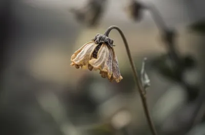 Illustration hurt - Image 1