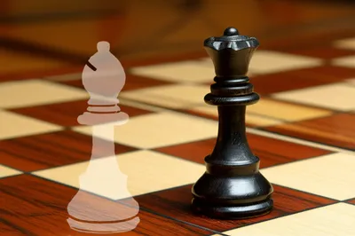 Illustration replaces - Image 1