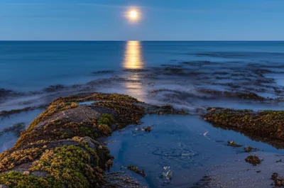 Illustration tides - Image 1