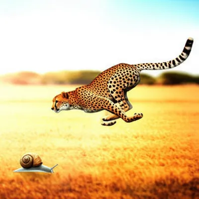 Illustration easily - Image 1