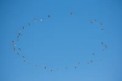 Illustration wheeling - Image 1