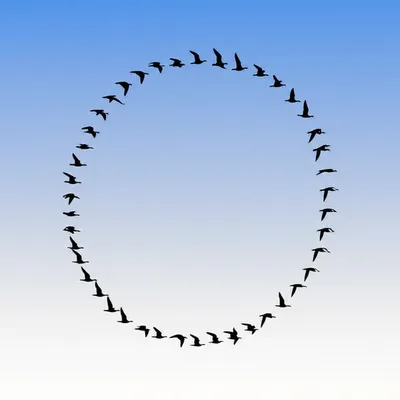 Illustration oftentimes - Image 1