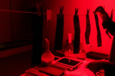 Hình ảnh minh họa processed - Ảnh 1