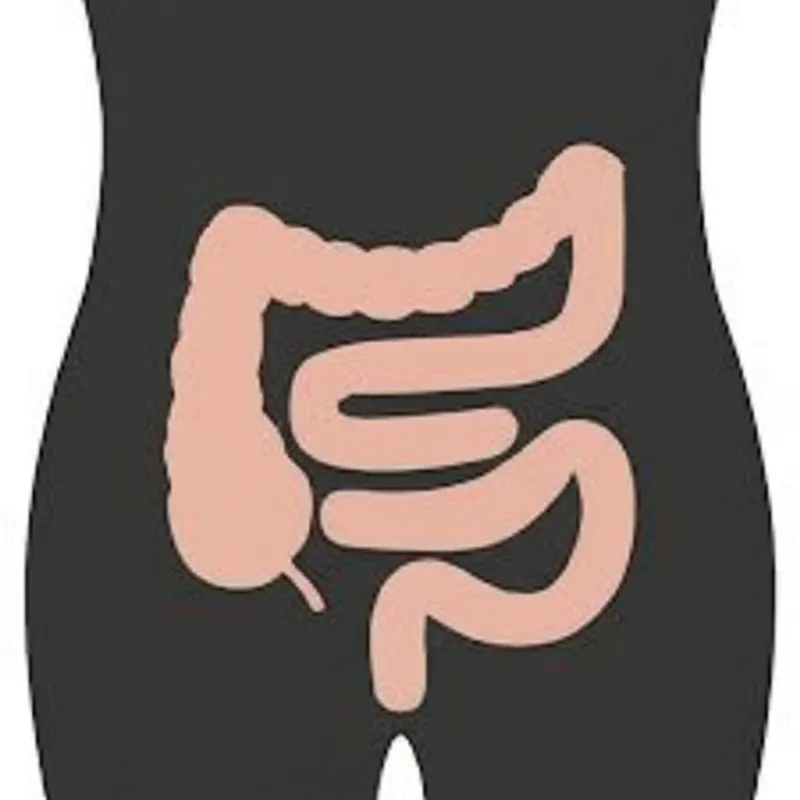 Визуальная иллюстрация sigmoid: Относящийся к сигмовидному изгибу толстой кишки - Изображение 1