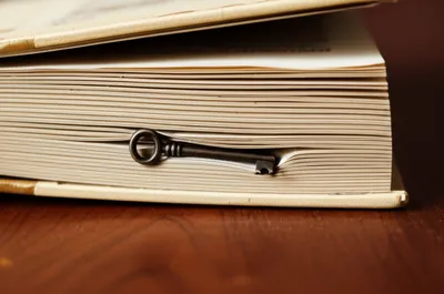 Illustration blind - Image 1