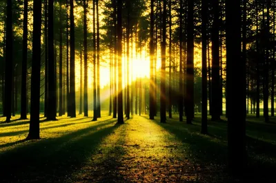 Illustration light - Image 1