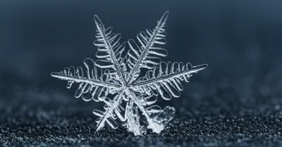 Illustration cold - Image 1