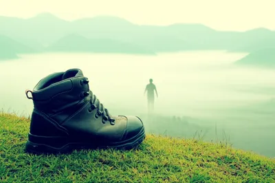 Illustration forgets - Image 1