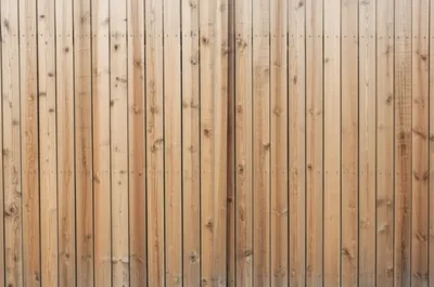 Illustration jutted - Image 1