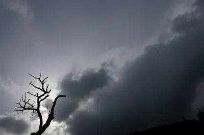 Illustration scowl - Image 1