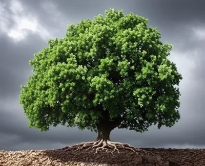 Hình ảnh minh họa resistant - Ảnh 1