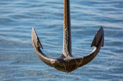 Illustration fished - Image 1