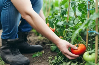 Illustration stooping - Image 1