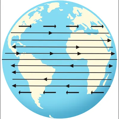 Illustration trade - Image 1