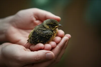 Illustration affectedly - Image 1