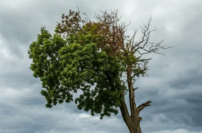 Illustration breaks - Image 1